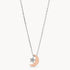 Moon and Star Two-Tone Stainless Steel Necklace